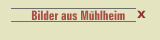      Bilder aus Mühlheim