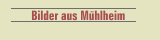      Bilder aus Mühlheim